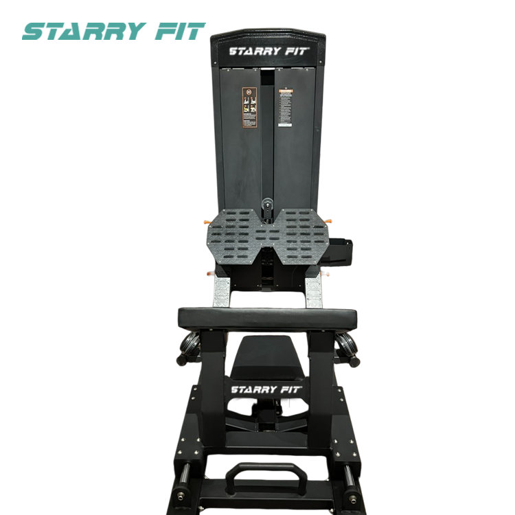 V8<br />BB-06 V8<br />BB-06