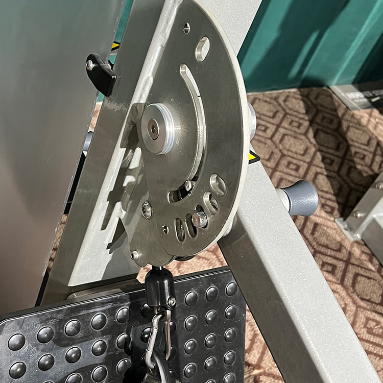 High Pull Back Muscle<br />HS-PD High Pull Back Muscle<br />HS-PD